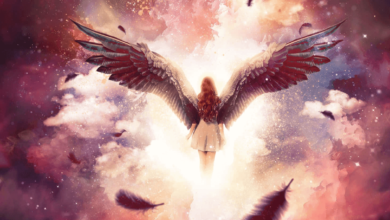 Wallpaper:7tnqo3q5rjq= Angel Wings