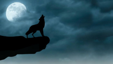 Wallpaper:8xsof43zhre= Moon:1fgcv1egh8u= Wolf