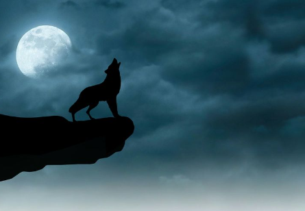 Wallpaper:8xsof43zhre= Moon:1fgcv1egh8u= Wolf