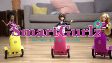 SmartGurlz Net Worth