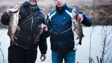 Mastering the Mighty: Essential Atlantic Salmon Fishing Tips Near Québec