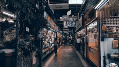 local services exploration guide